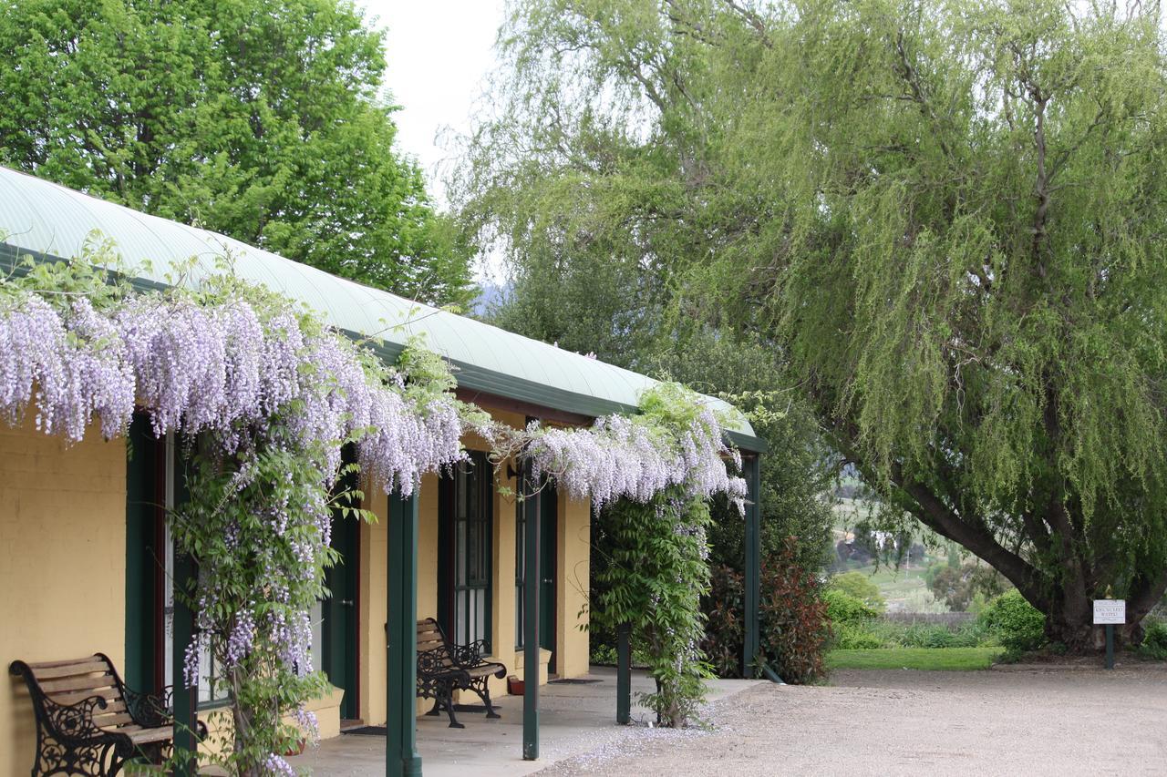 Omeo Motel Motel 3*